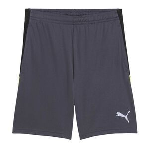 Puma Mens Individualliga Football Shorts / Gray/Yellow